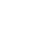 1000++ Car Sold